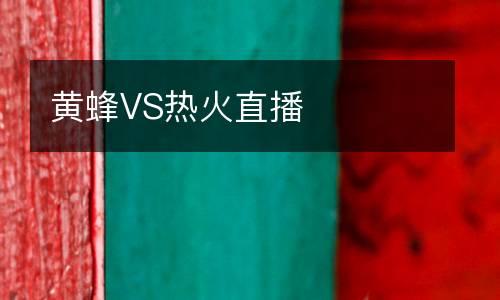 黃蜂VS熱火直播