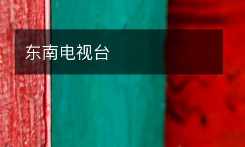 東南電視臺(tái)