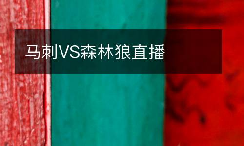 馬刺VS森林狼直播